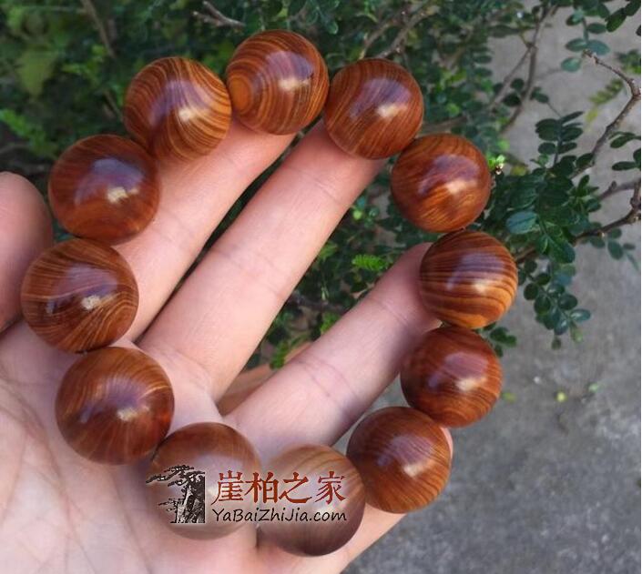 面对这几年异常火爆的崖柏市场,柏友们该如何应对?-2