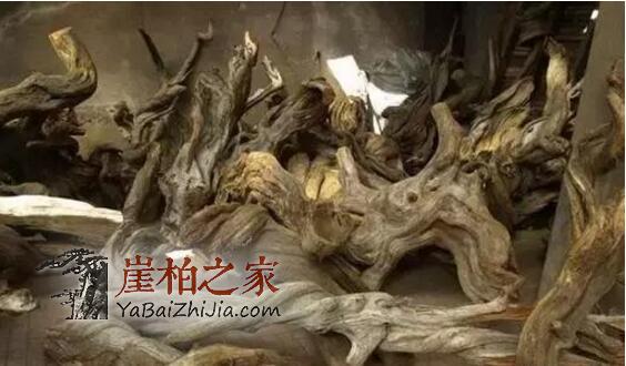 看崖柏达人如何把丑树根变精美根雕摆件的?-1