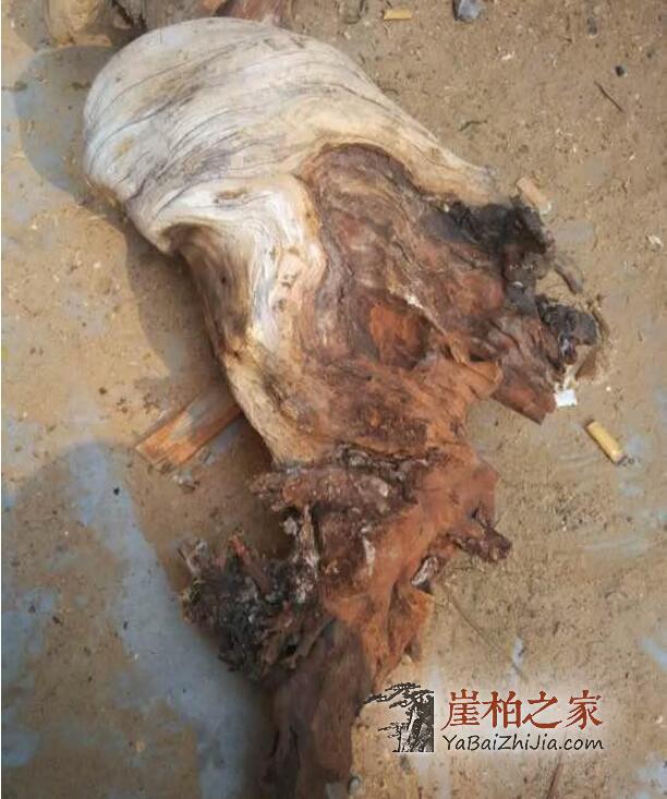 崖柏手串是怎么做出来的?崖柏之家教你车珠子全过程-1