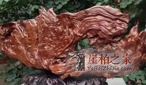崖柏的美丽靠打磨!-1