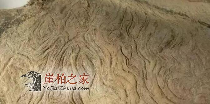崖柏的美丽靠打磨!-8