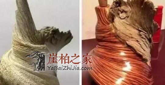 崖柏的美丽靠打磨!-9