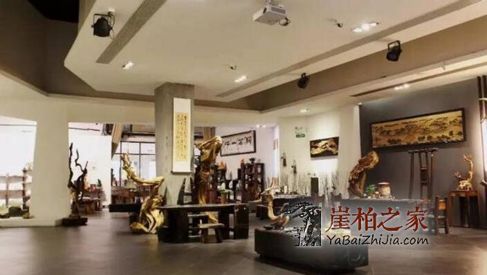 世界那么大,你为什么玩崖柏?-1