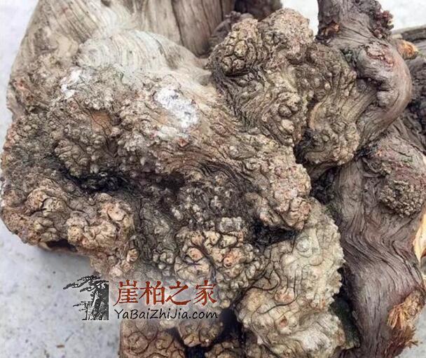 崖柏陈化瘤手串如何制作、成珠的?-1