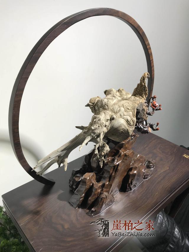 玩崖柏的男人都是智者?-3