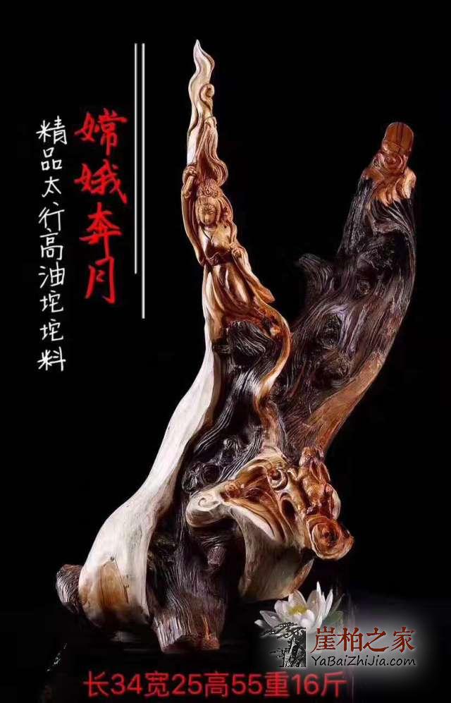 探寻那些你不知道的崖柏秘密!-2