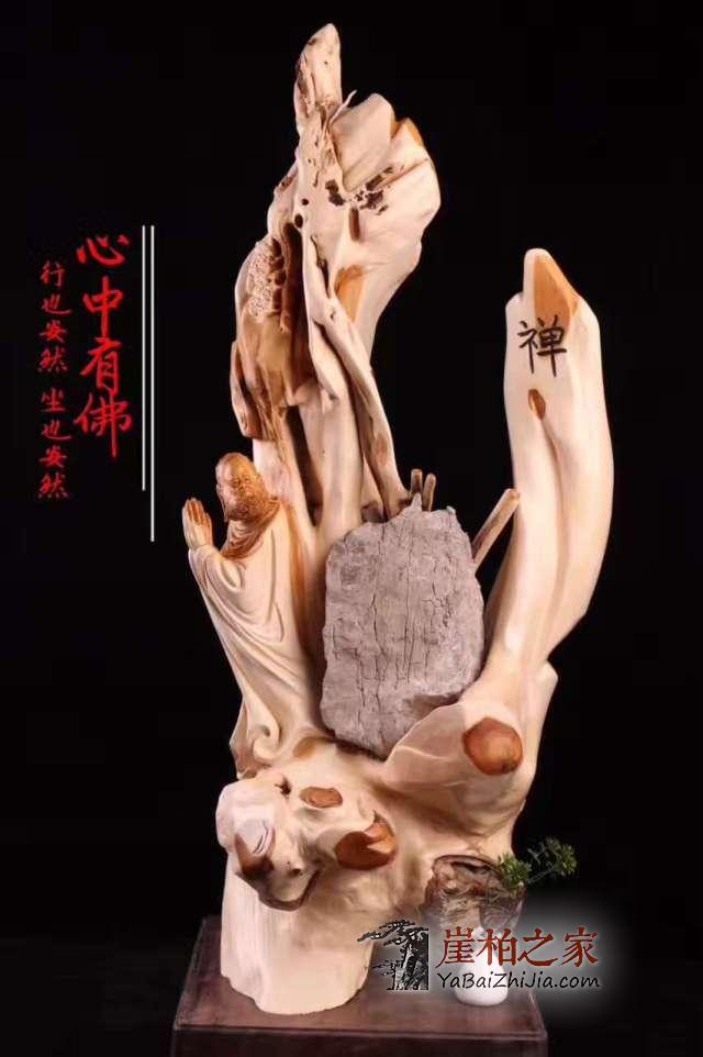 探寻那些你不知道的崖柏秘密!-1