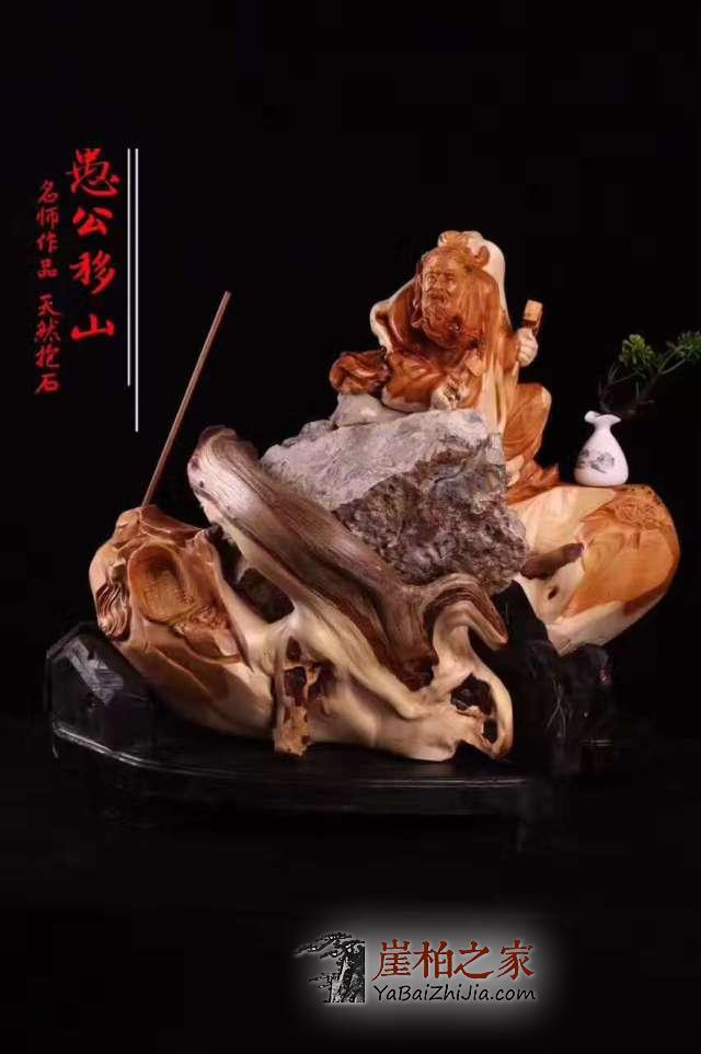 探寻那些你不知道的崖柏秘密!-3