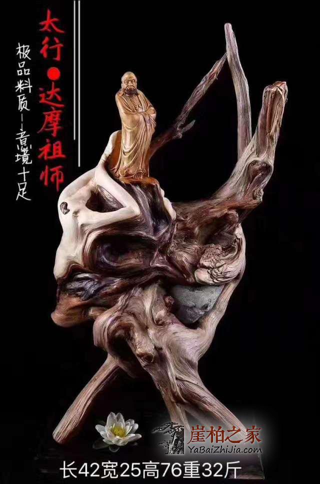 探寻那些你不知道的崖柏秘密!-6