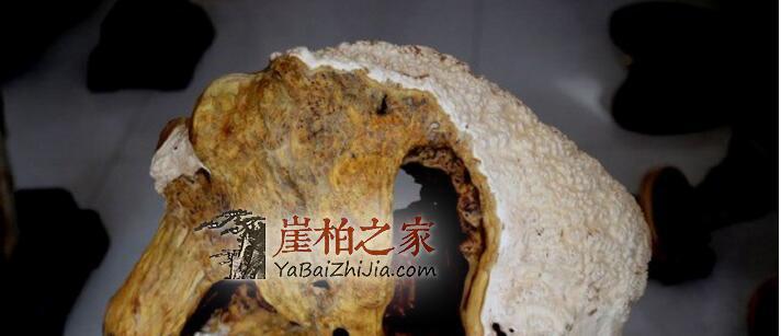 远安农民玩崖柏根艺,一只“凤凰”叫价13万元,贵吗-5