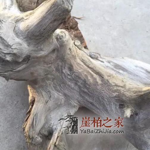制作崖柏手串该如何选料呢?-2