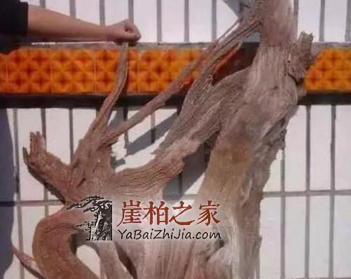 制作崖柏手串该如何选料呢?-3