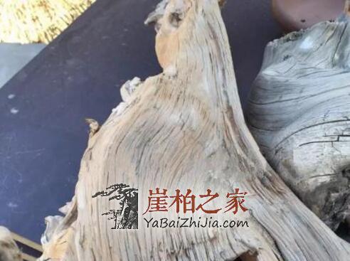 制作崖柏手串该如何选料呢?-4