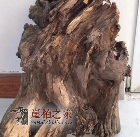 制作崖柏手串该如何选料呢?-5