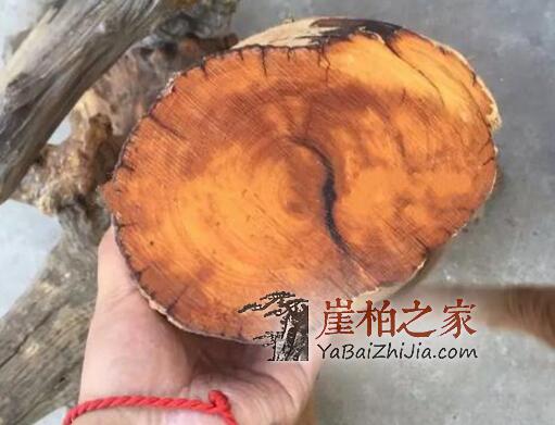 制作崖柏手串该如何选料呢?-6