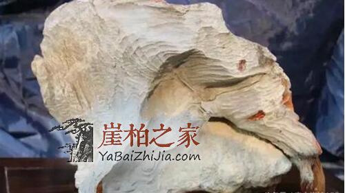 如何选购崖柏毛料,这几种料质极具代表性!-4