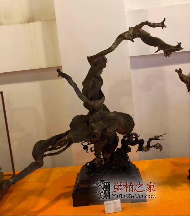 崖柏的这几个特征,瞬间征服你!-5