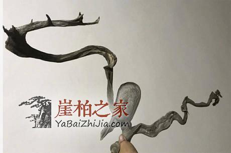 崖柏圈里的潜规则,这个必须要懂!-1