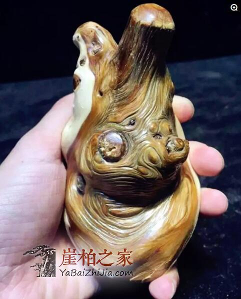崖柏小白们,这五种料分清了,你也就入门了!-3