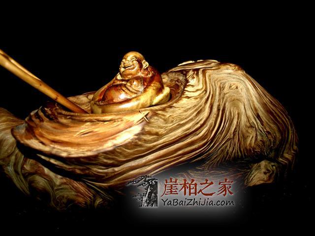 深度解析,崖柏行业面临的问题及原因!-3