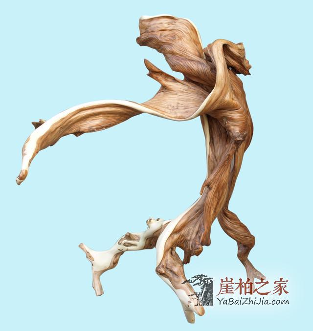 深度解析,崖柏行业面临的问题及原因!-2