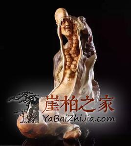 深度解析,崖柏行业面临的问题及原因!-5