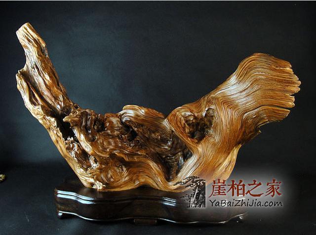 崖柏的秋季把玩和保养,实用篇-1