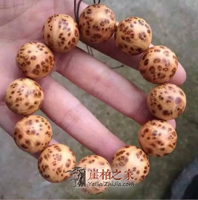 崖柏的秋季把玩和保养,实用篇-3