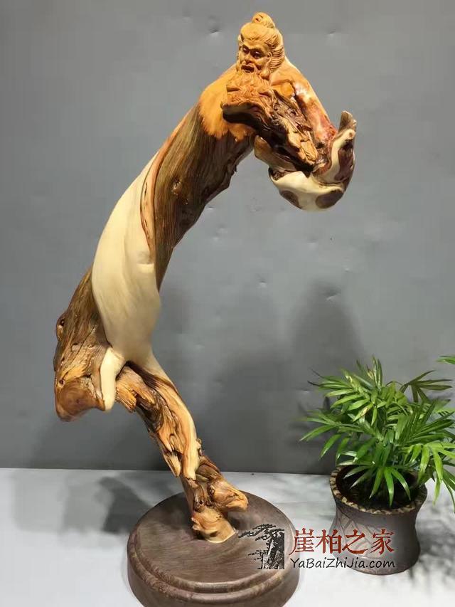 崖柏也深受娱乐圈明星大咖青睐,除了侯耀华,都还有谁呢-1