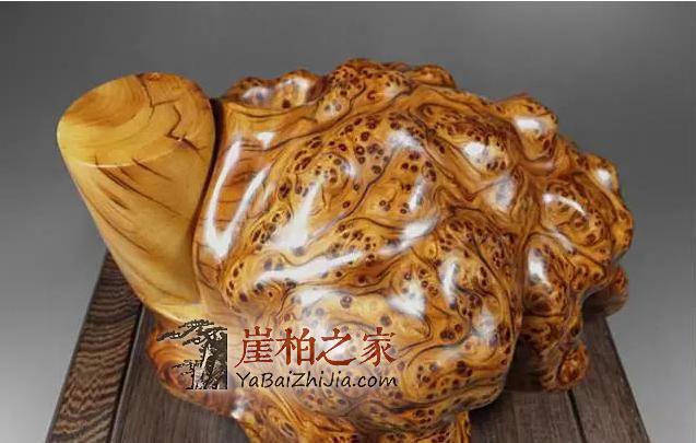 导致崖柏出现裂纹罪魁祸首!-1