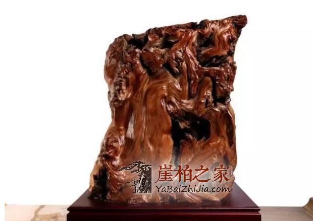 导致崖柏出现裂纹罪魁祸首!-4