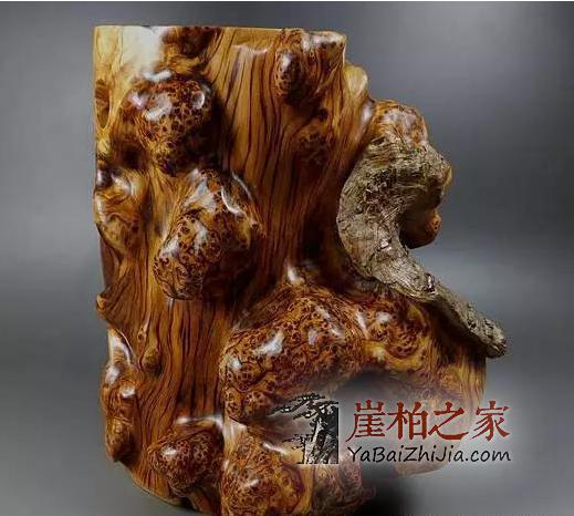 导致崖柏出现裂纹罪魁祸首!-5