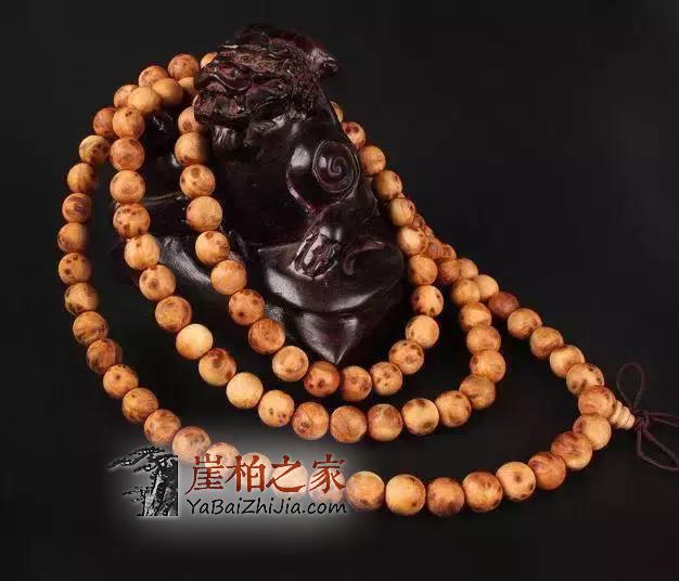 文化底蕴深厚,认识崖柏,爱上崖柏-7
