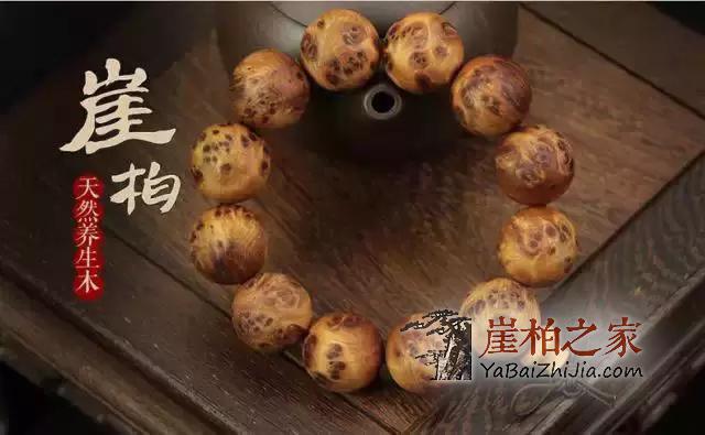 文化底蕴深厚,认识崖柏,爱上崖柏-6