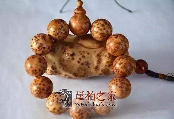 寒冷的冬季如何保养你心爱的崖柏手串?-1