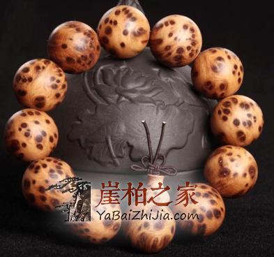 崖柏知多少?-5