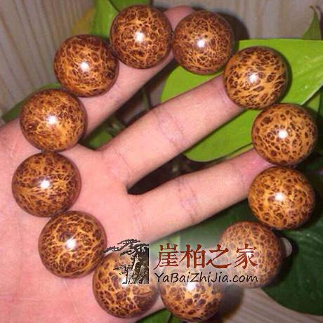 崖柏知多少?-4