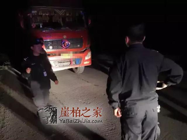 凌晨5人偷运12吨崖柏 丹巴森林公安当场抓获!-1