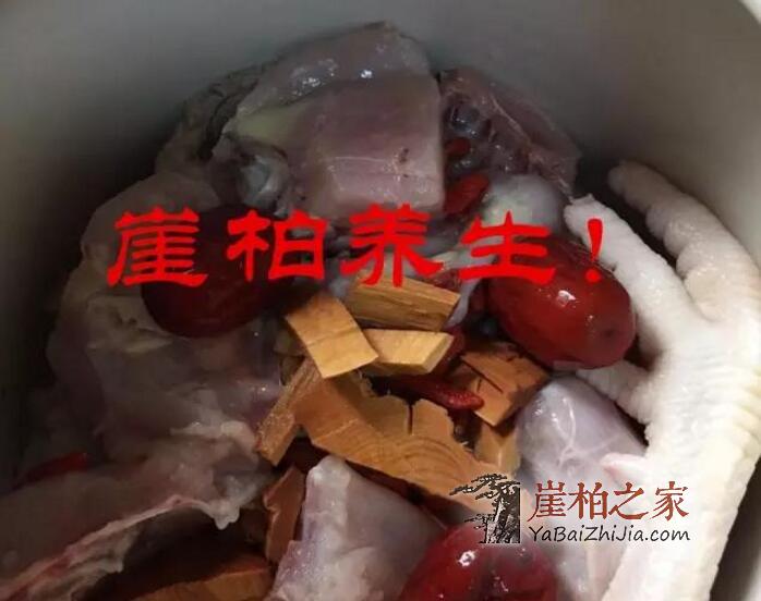 崖柏养生新起点,干了这碗“鸡汤”!-1
