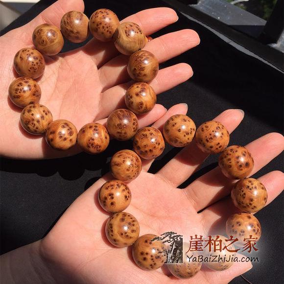 保养崖柏的秘密,长毛了可别说我没有告诉你!-2