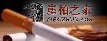 吃喝抽睡皆崖柏,十全大补崖柏养生新姿态!-5