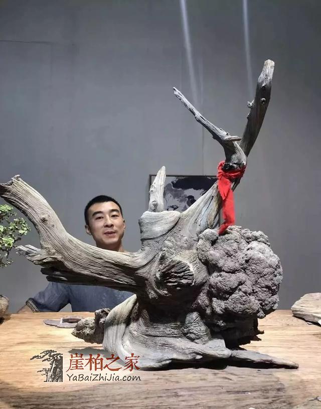 崖柏行业的秘密,天价崖柏都是怎么卖出去的?-9