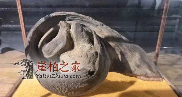 崖柏行业的秘密,天价崖柏都是怎么卖出去的?-10