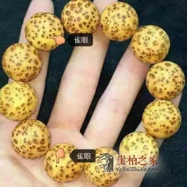 崖柏这些常识,你一定需要,避免被坑!-1