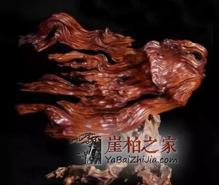 崖柏这些常识,你一定需要,避免被坑!-11