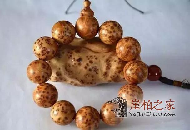 崖柏保养8大禁忌!看看你中了几条!-1