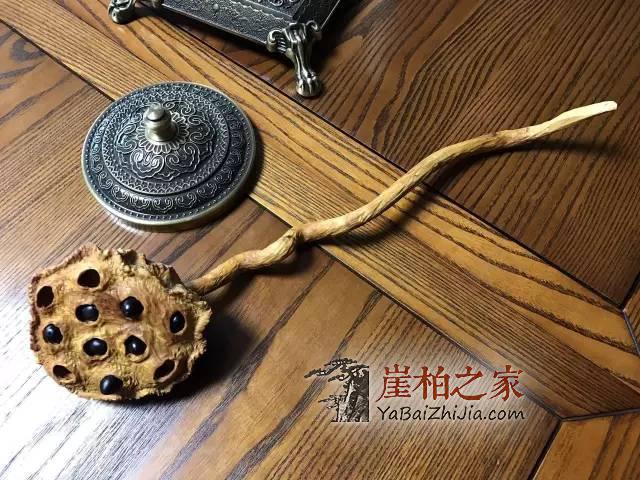 崖柏的养生功能“说明书”!-1