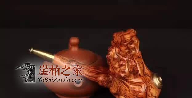 崖柏的养生功能“说明书”!-4