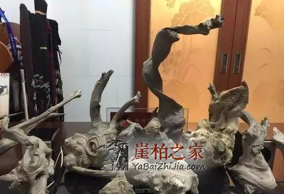 崖柏:现在再不入手,就买不起了!-4