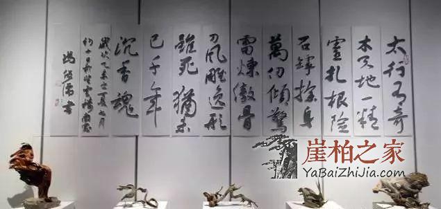 崖柏:现在再不入手,就买不起了!-5